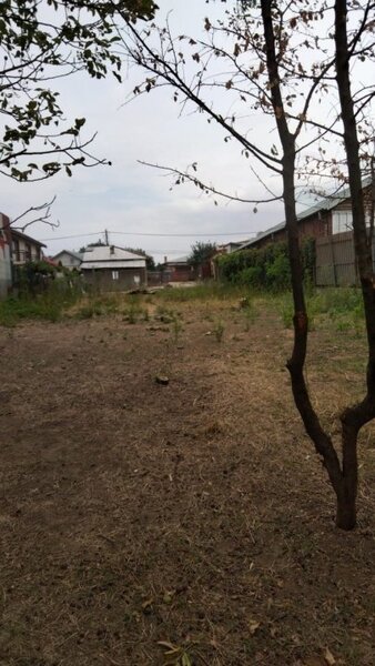 Anghel Saligny Metro, Catelu, casa cu teren 2275 mp.